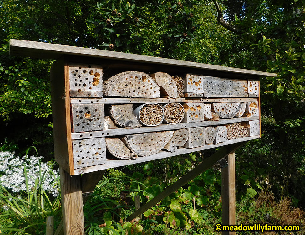 How Honey Bees Produce Beeswax - Meadowlily Farm Canada Natural Raw Honey,  Beeswax, Bee Pollen