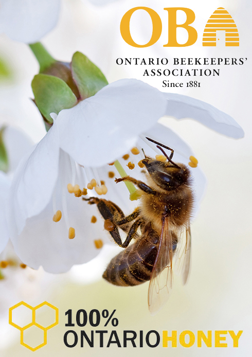 Honey Bee Pollen Meadowlily Farm