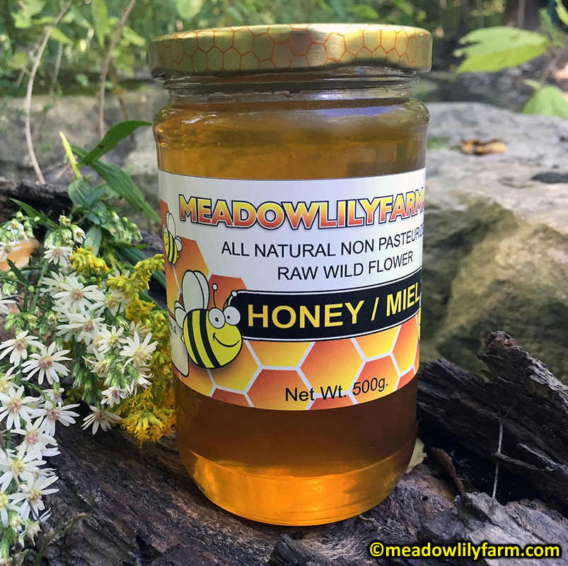 How Honey Bees Produce Beeswax - Meadowlily Farm Canada Natural Raw Honey,  Beeswax, Bee Pollen