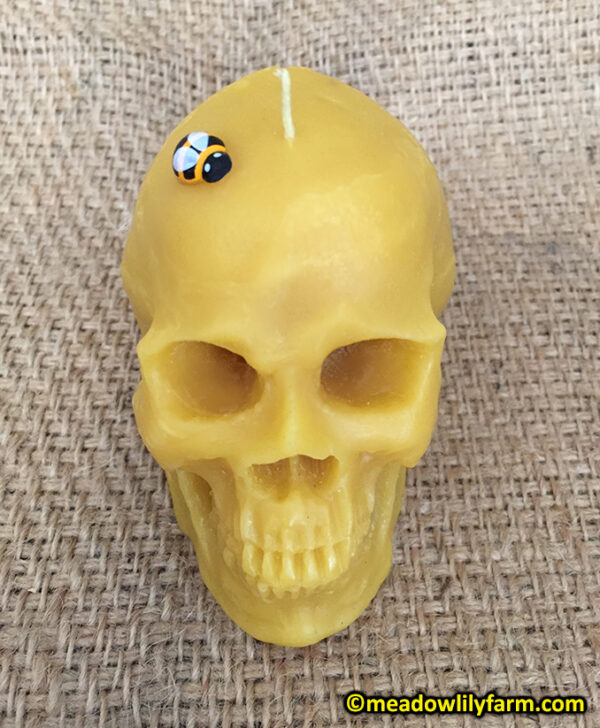 Large Skull Beeswax Candle