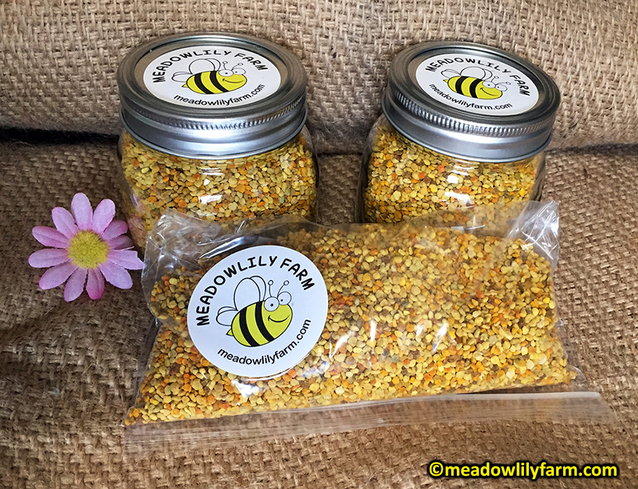 How Honey Bees Produce Beeswax - Meadowlily Farm Canada Natural Raw Honey,  Beeswax, Bee Pollen