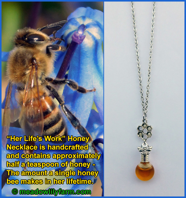 How Honey Bees Produce Beeswax - Meadowlily Farm Canada Natural Raw Honey,  Beeswax, Bee Pollen